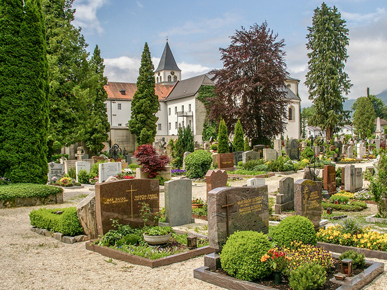 Friedhof und Münster St. Zeno
