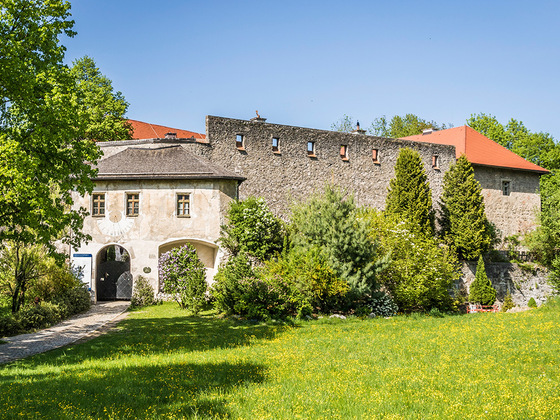 Burg Gruttenstein | Alpenstadt Bad Reichenhall