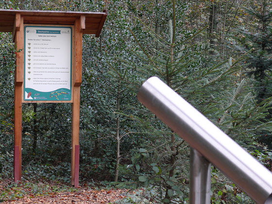 Themenpfad Osing "Unser Wald im Wandel"