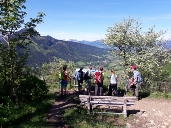 Aussichtskanzel