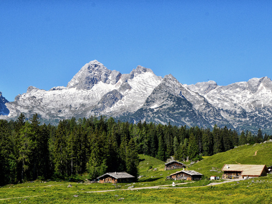 Die Kallbrunnalm, im Hintergrund die Leoganger Steinberge