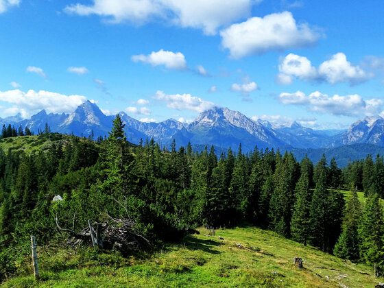 Ausblick von der Zehnkaser-Alm zu Watzmann und Hochkalter