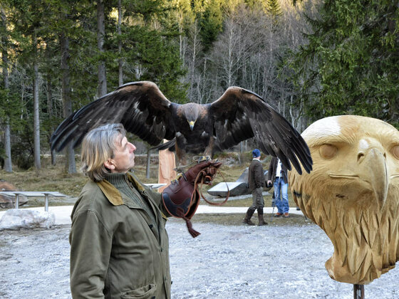 Falkner Wolfgang Czech mit Steinadler Dame Jennifer