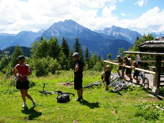 Ligeretalm vor dem Watzmann