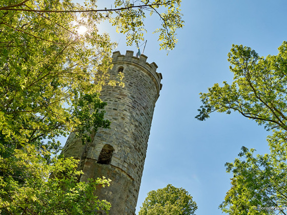 Walburg