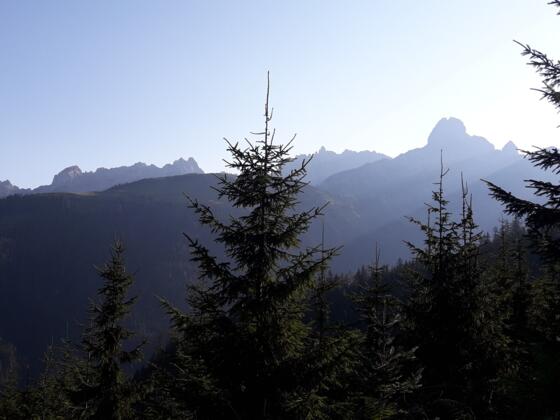 Blick auf den Gosaukamm und die Bischofsmütze