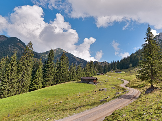 Gschwendtneralm - kurz vor der Hochalm