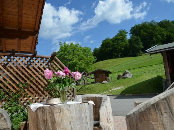 Im Garten unseres Bauernhofes