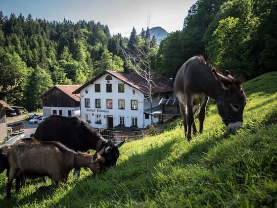 Fallmühle