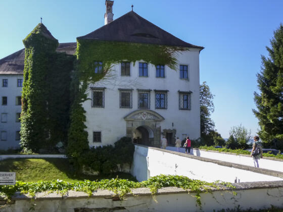 Schloss Ortenburg. Z00/N31