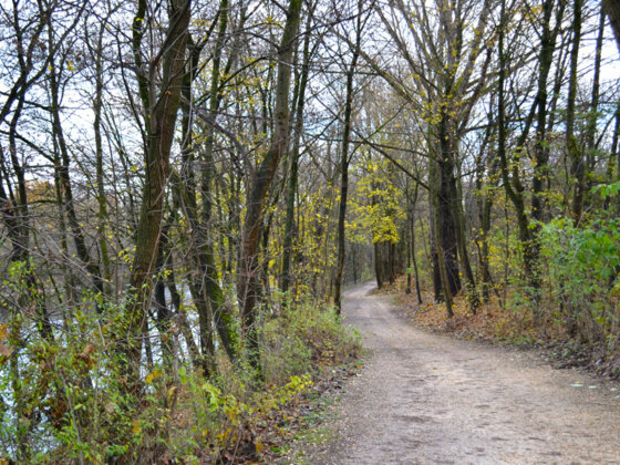 Schleifenroute - Augsburg entlang der Lech