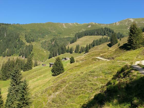 Katzsteinalm