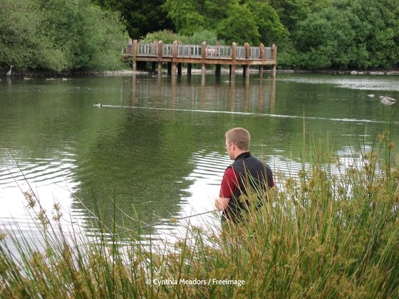 Fischen am see