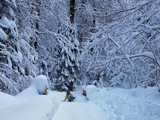 Rasante Abfahrt auf der Rodelbahn mit dem Zipfelbob