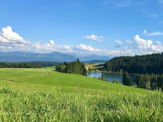 Eschacher Weiher