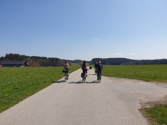 Radlweg