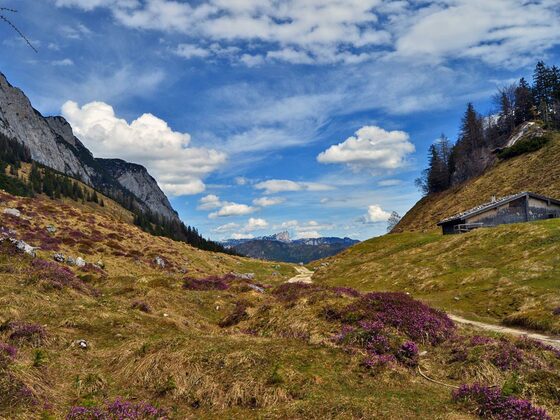 Blick von der Halsalm zum Untersberg