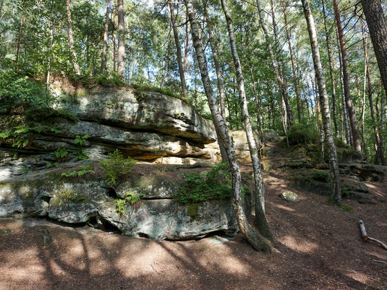 Felsen in der Einberger Schweiz