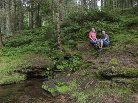 Elsavaquelle bei Mespelbrunn