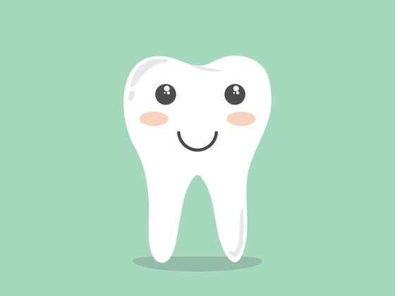 Zahnärztin Dr. Lang