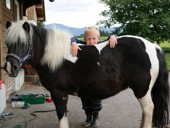 Hier gefällt es mir...