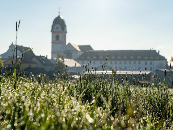 Die barocke Asam-Kirche in Rohr i.NB am Morgen