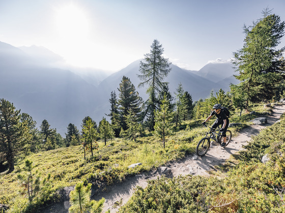 Bartiges Bödele Trail
