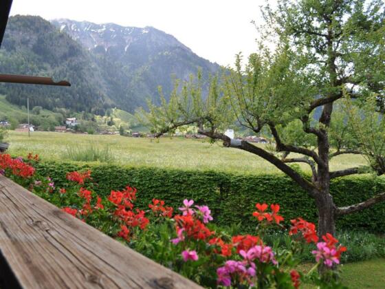 Aussicht Ferienwohnung Kuhstall