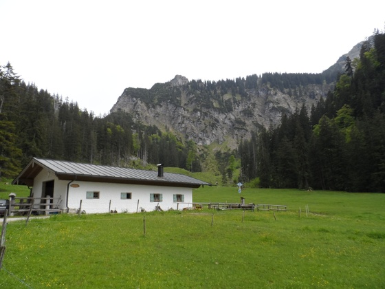 Brachtalm