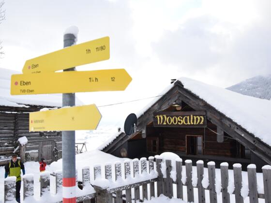 Moosalm im Winter