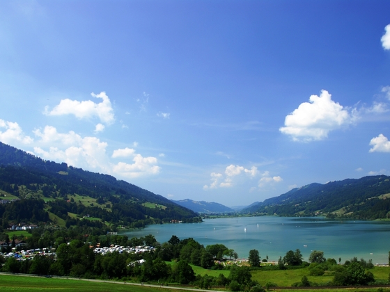 Blick auf den Alpsee