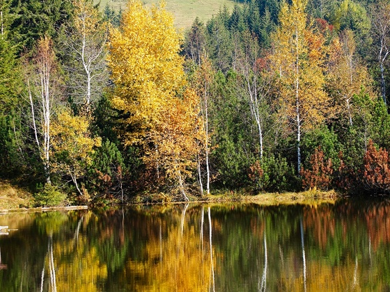 Am Hörmoossee