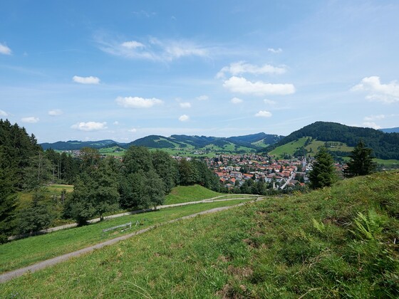 Blick auf Oberstaufen vom Kapf.