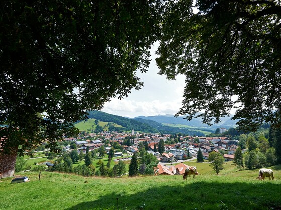 Blick auf Oberstaufen
