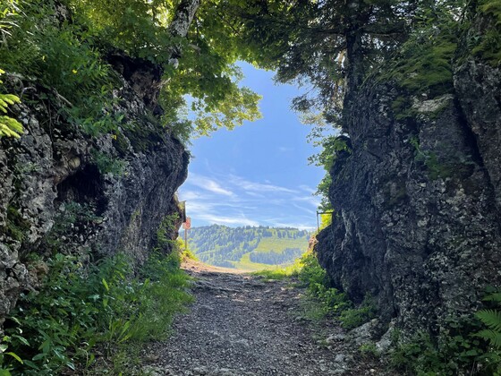 Das steinerne Tor