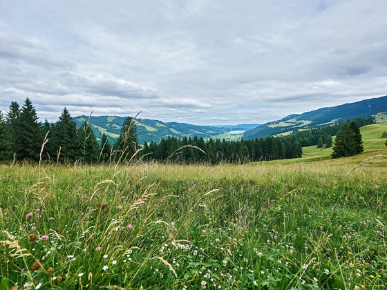 Blick in das Konstanzer Tal