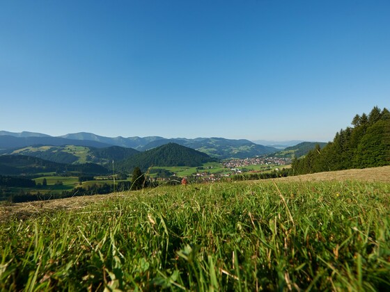 Panorama von Oberstaufen