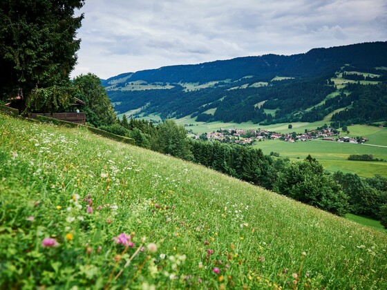 Ausblick auf Thalkirchdorf