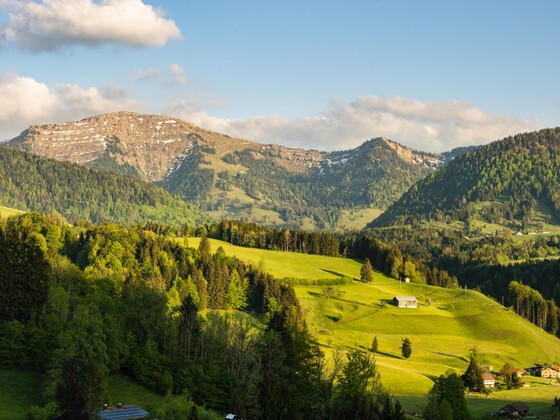 Blick auf den Hochgrat bei Oberstaufen