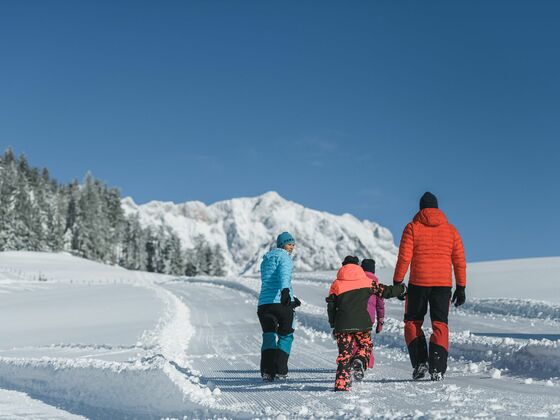 Winterwandern