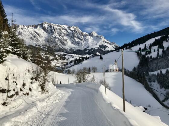 Rodelbahn Grünegg Alm Panorama