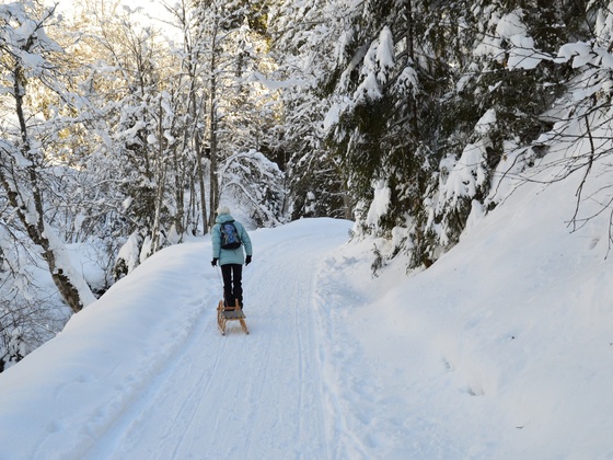 Winterwanderer mit Rodel