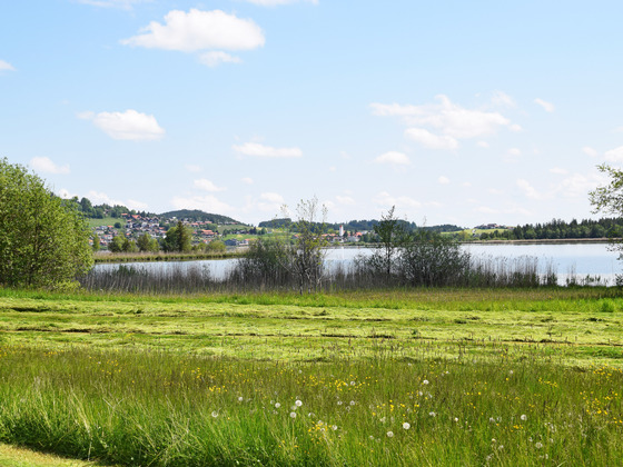 Blick auf Hopfen am See