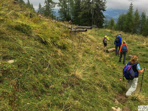 Dorfgasteiner Almenrunde.