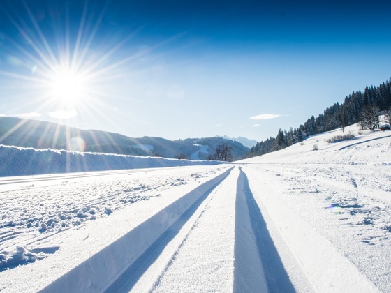 Langlaufloipe bei Sonnenschein