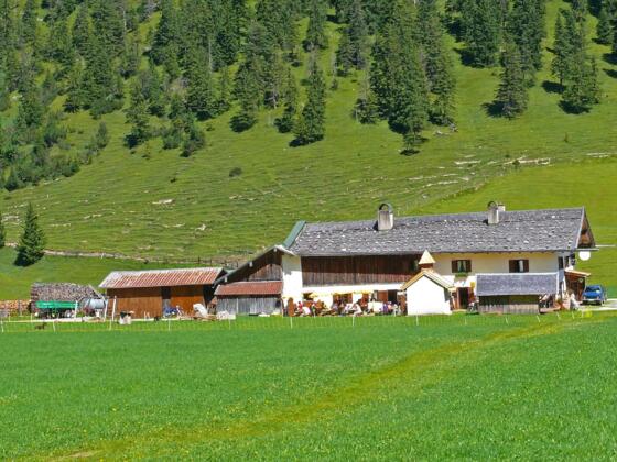 Esterbergalm
