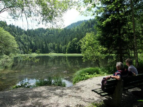 Rast am Suttensee