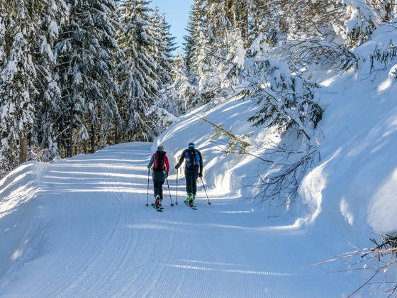 Skitour