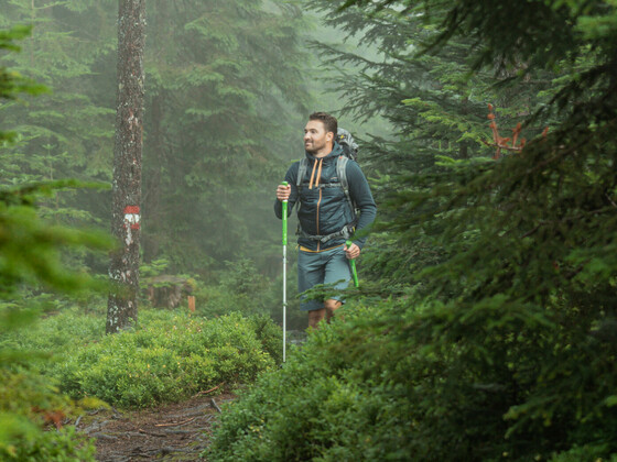 Nordic Walking