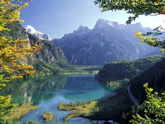 Almsee